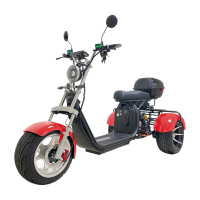 Электроскутер CITYCOCO X12 TRIKE Красный
