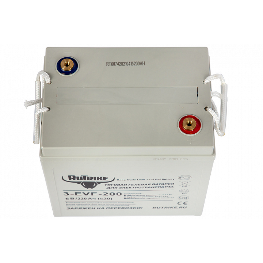 Тяговый аккумулятор RuTrike 3-EVF-200 (6V200A/H C3) 1