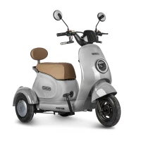 Электротрицикл Rutrike Gelbert Ogma 48V/60V 650Вт